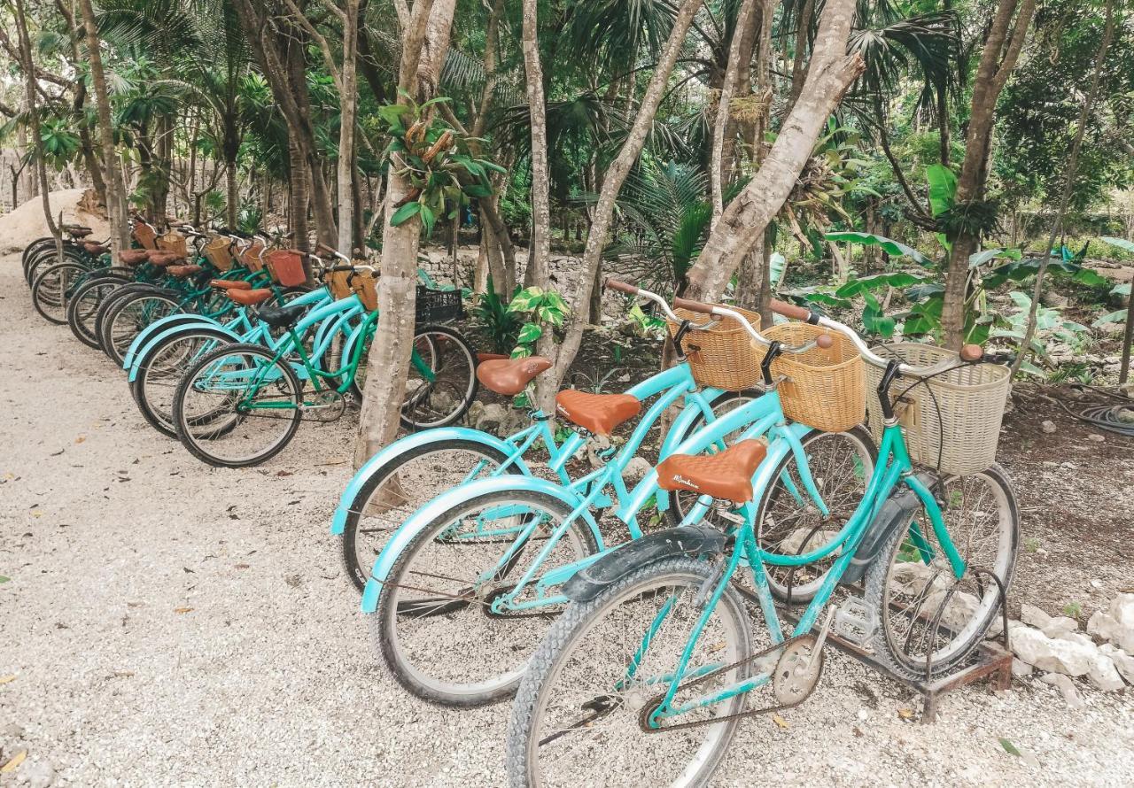 Akumal Natura Glamping Buitenkant foto