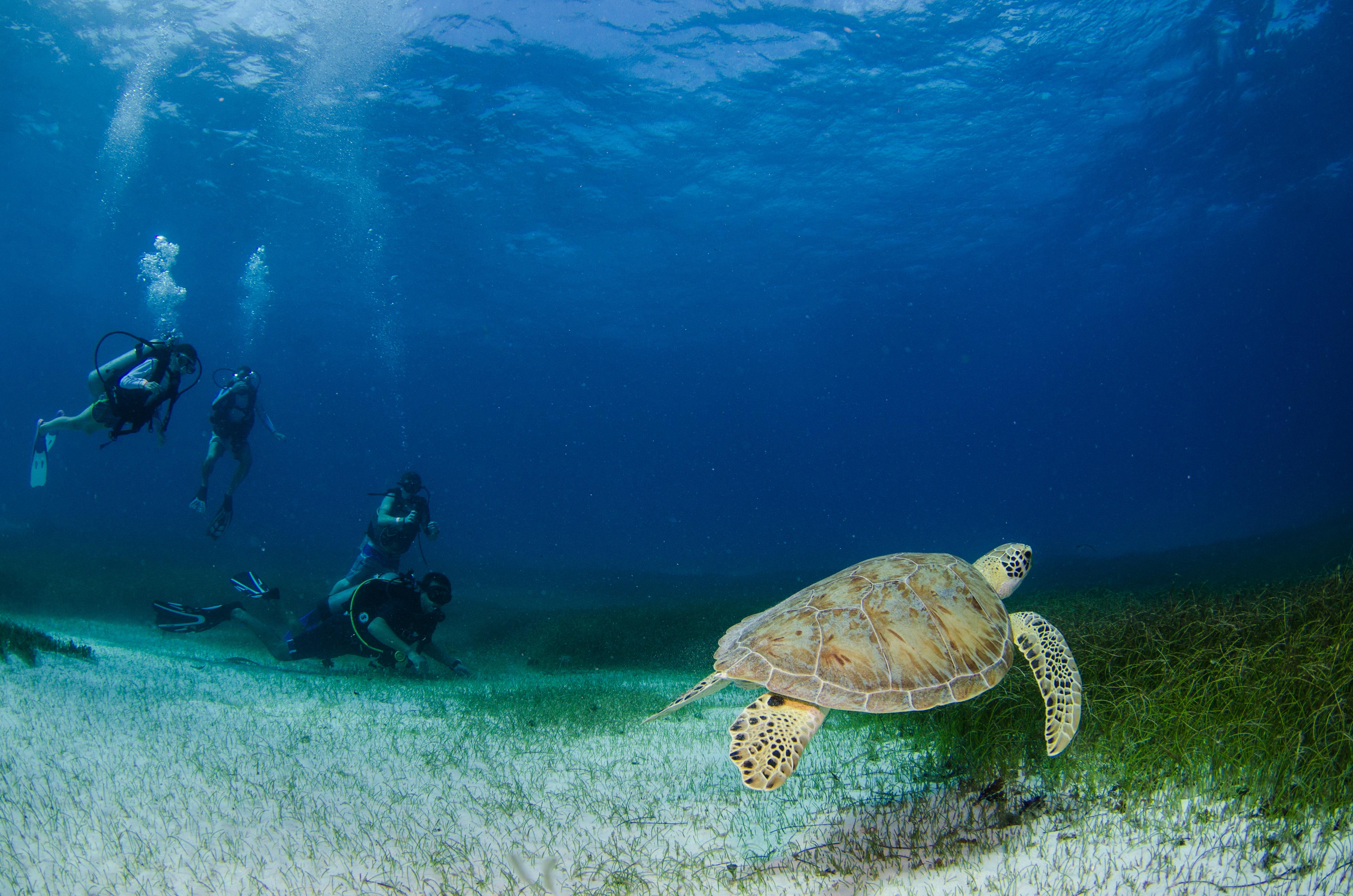 Akumal Natura Glamping Buitenkant foto