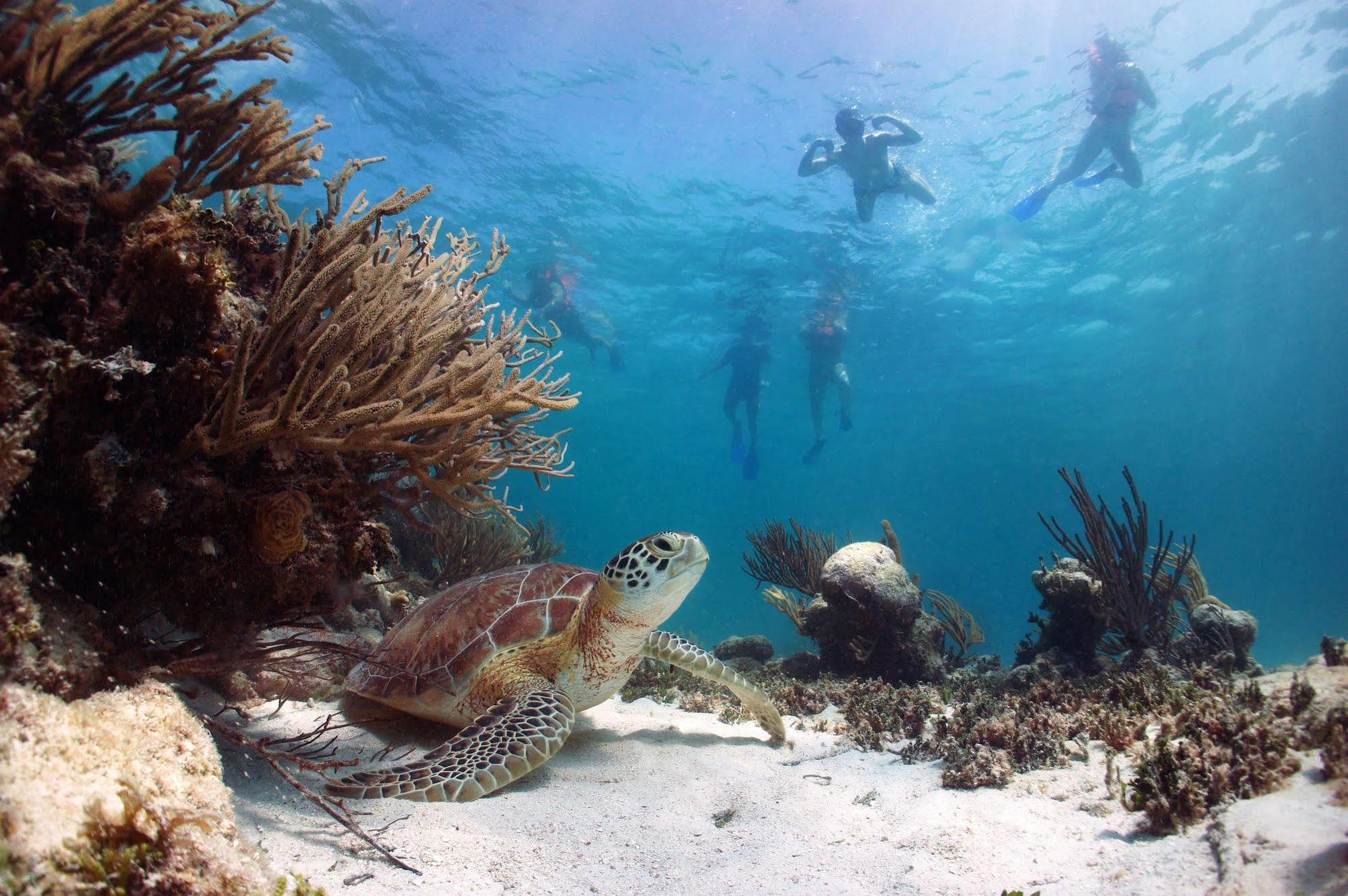 Akumal Natura Glamping Buitenkant foto